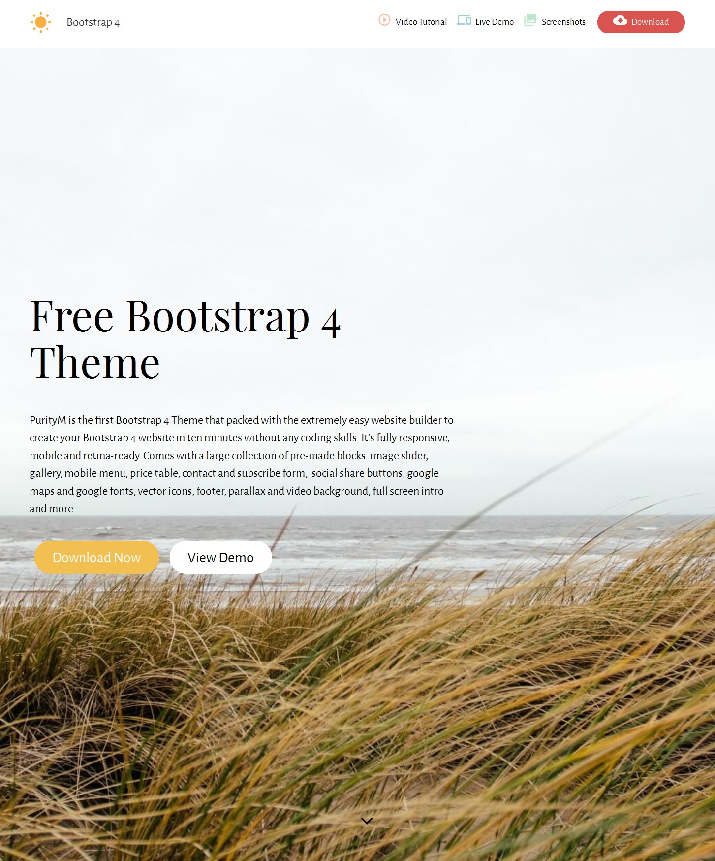 Free Download Bootstrap Simple Theme