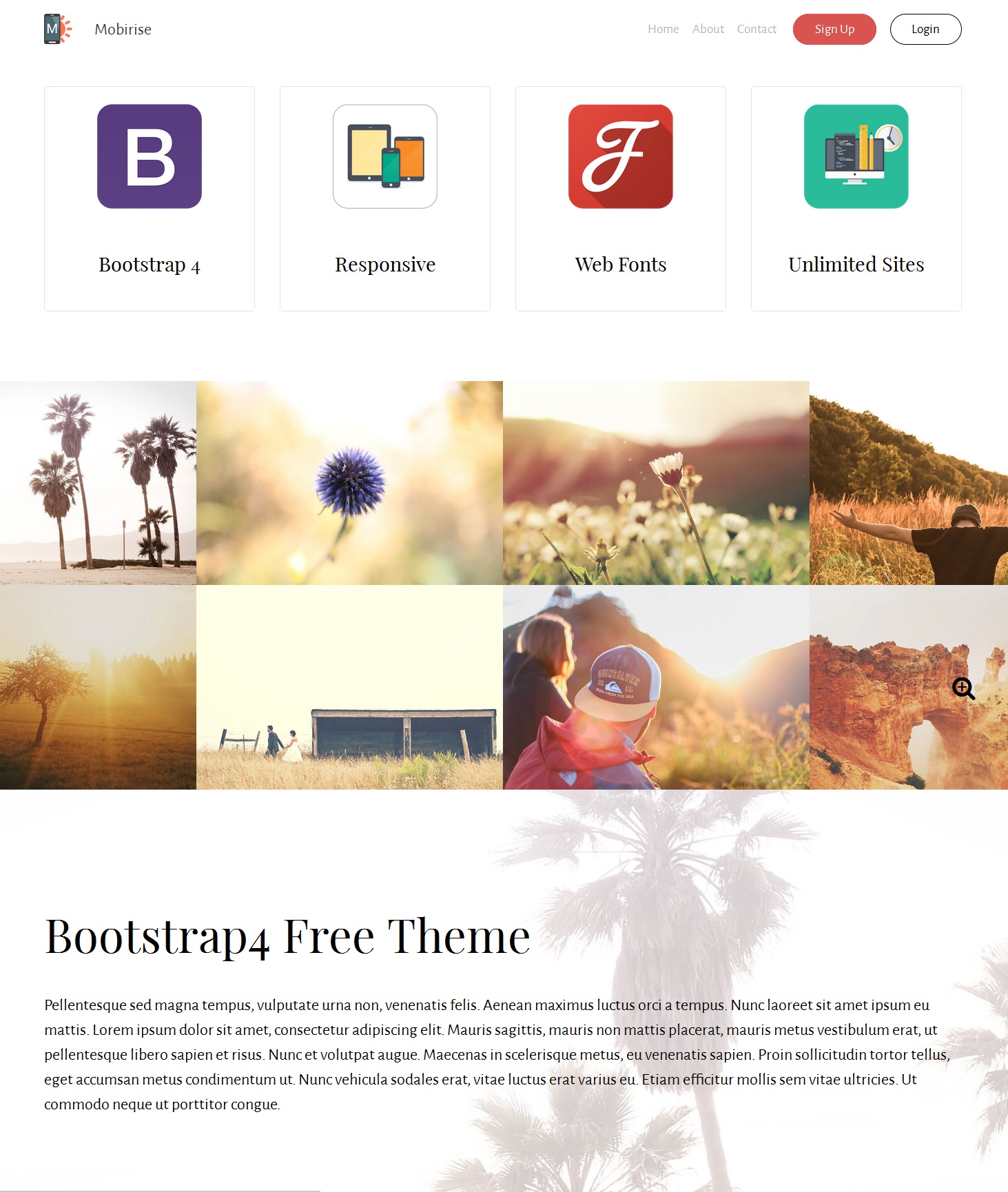 Responsive Bootstrap Video Theme