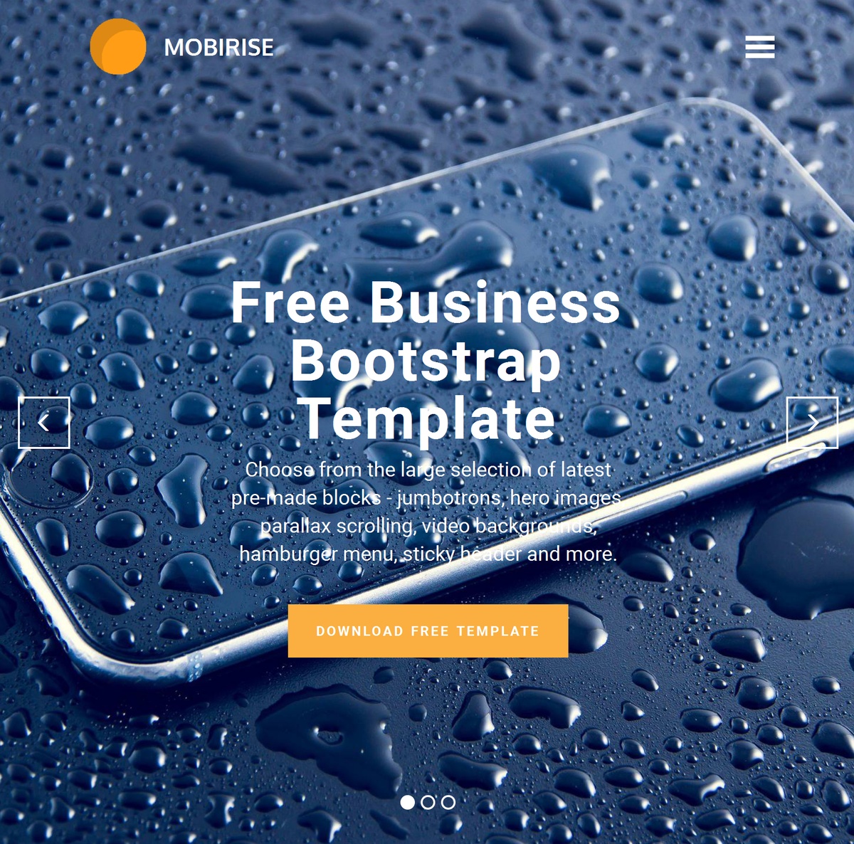 Simple Responsive Web Templates Themes Extensions