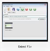 Add SWF HTML embed flv