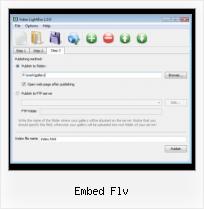 FLV in Web Page embed flv