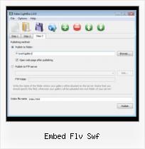 Javascript Video Play embed flv swf